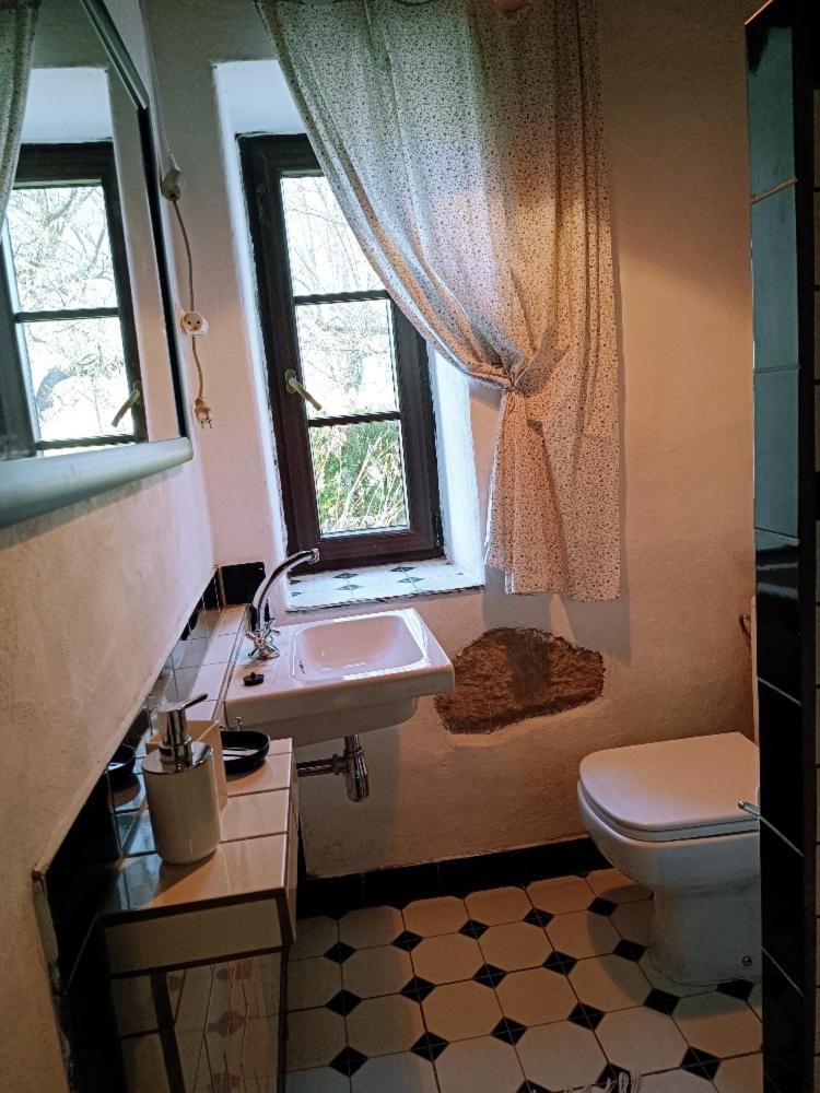 Ubytovani Pod Jilmem Zar Zimmer foto